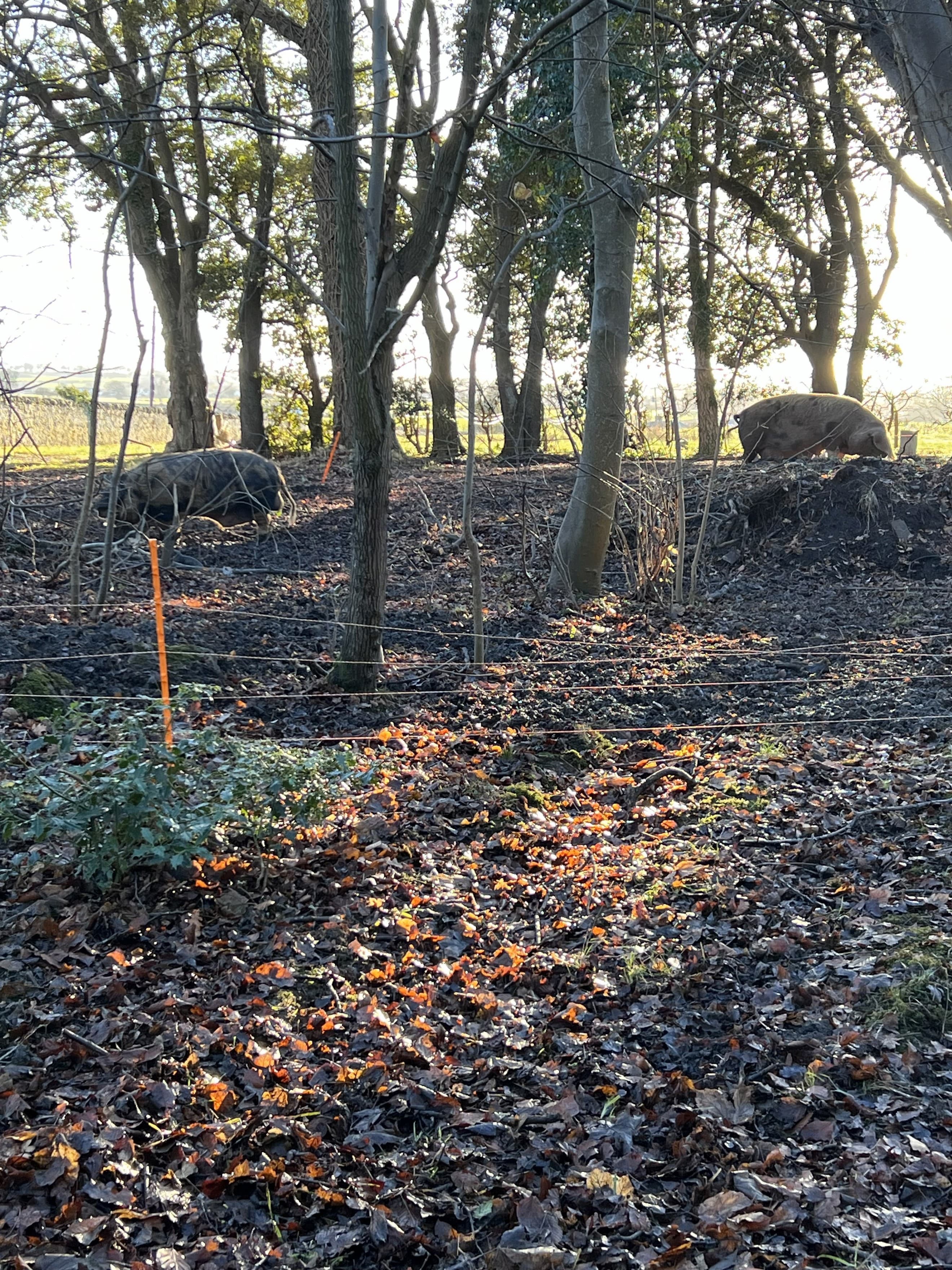 Bramblewood Farm Membership